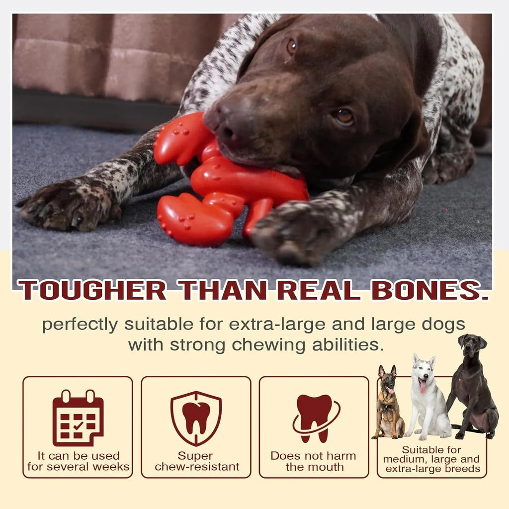 Red Nylabone bone-shaped chew toy for large dogs and aggressive chewers