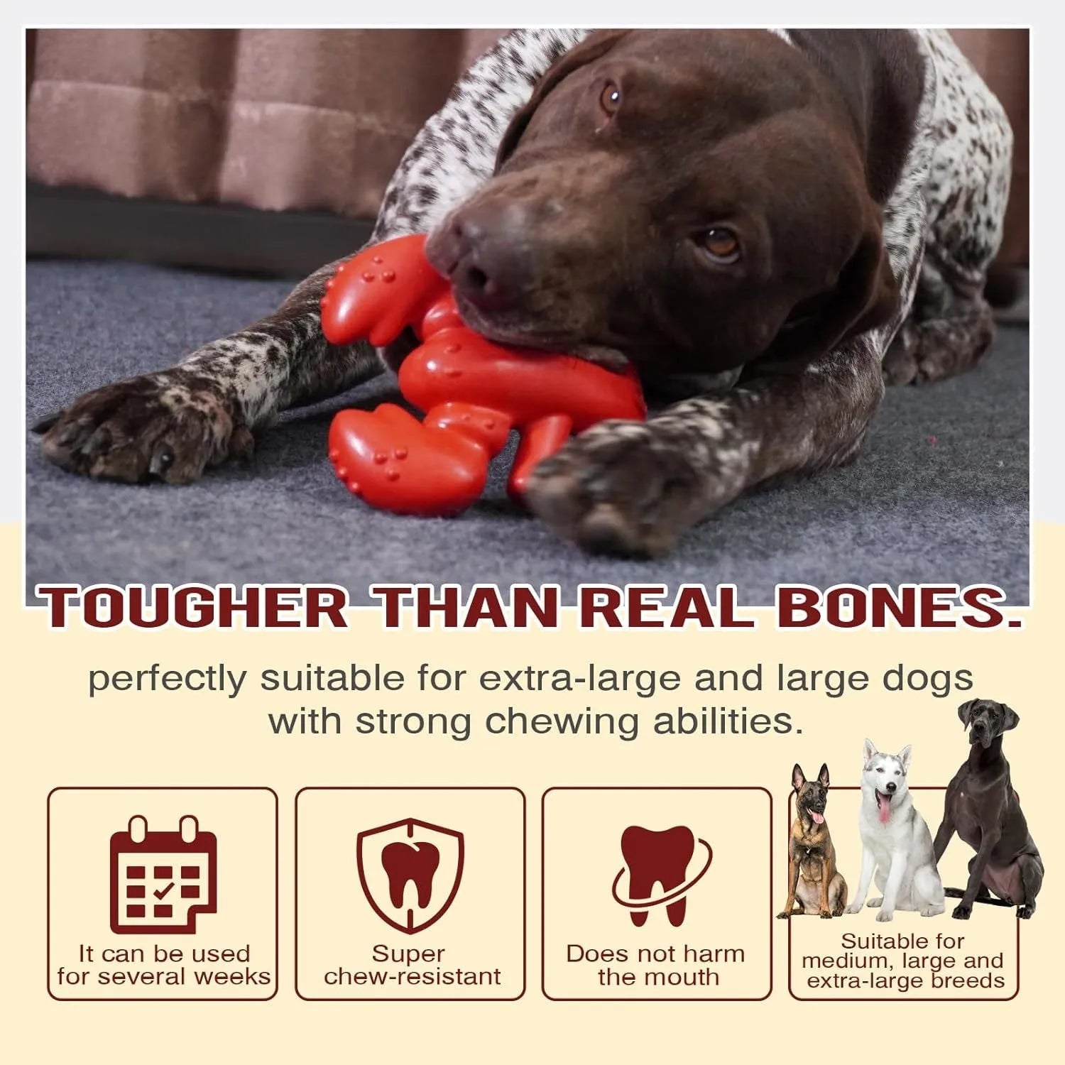 Red Nylabone bone-shaped chew toy for large dogs and aggressive chewers