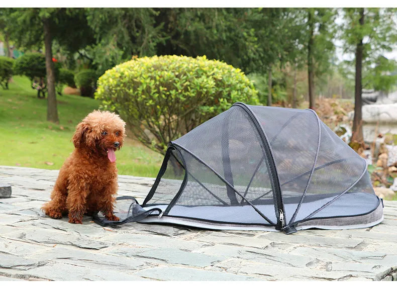 Foldable cat tent with half mesh design in blue colour variant