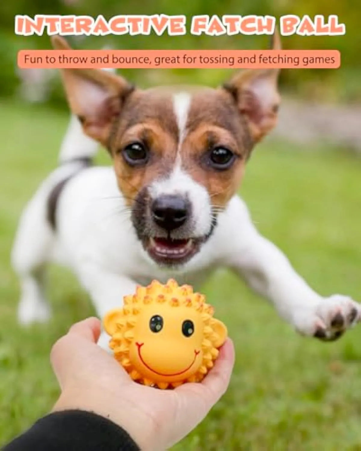 Orange and yellow spiky latex dog toys with squeaker for teeth cleaning during fetch play