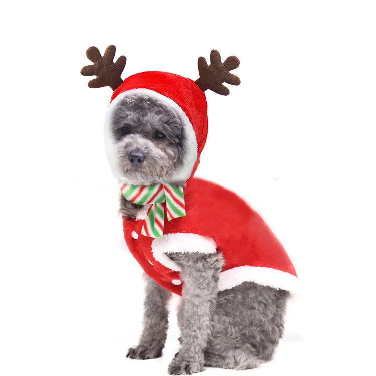 Red coral velvet Christmas dog t-shirt with tree and deer print and green scarf on light background