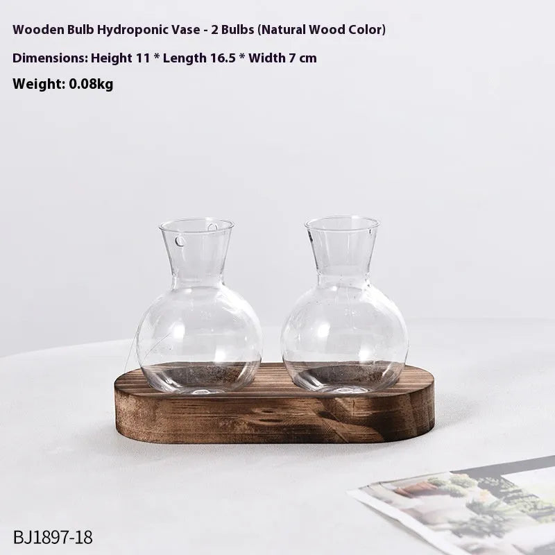 Transparent hydroponic vases in wooden frame holder for plant propagation