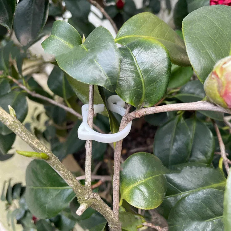Cat-shaped plastic plant clip in green, red, white, and yellow colour options