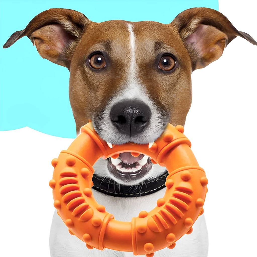 Lightweight hollow dog fetching stick toy in blue, orange, or red, showing bendy plastic construction for safe chewing and fetch games.