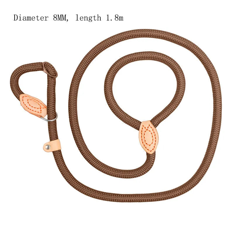 Blast race training dog leash and padded collar set in multiple colours