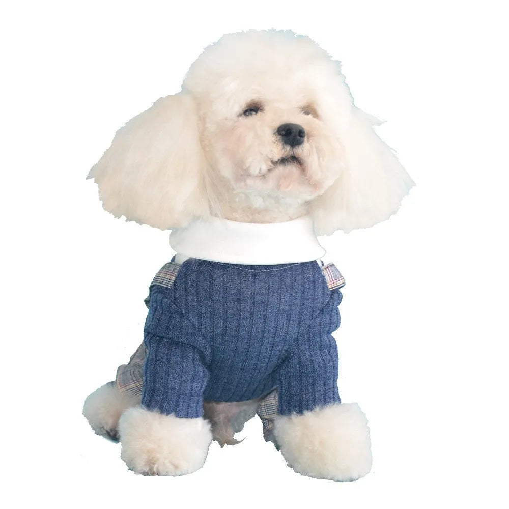 Orange and dark blue cotton dog shirt for small breeds showing front view