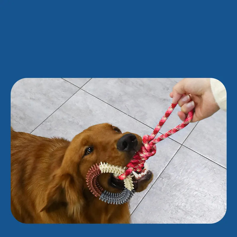 Braided cotton rope dog toy with knotted design in multiple colours, measuring 43cm long