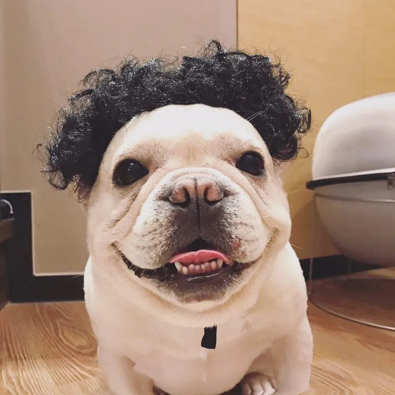 Fashion dog head ornament wig in black colour, made of high temperature fibre, for small pet party costume