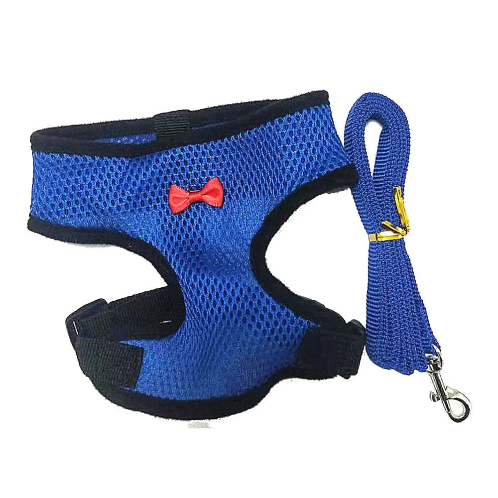 Poultry harness set with chicken vest, matching collar and 110cm traction rope for pet ducks and chickens