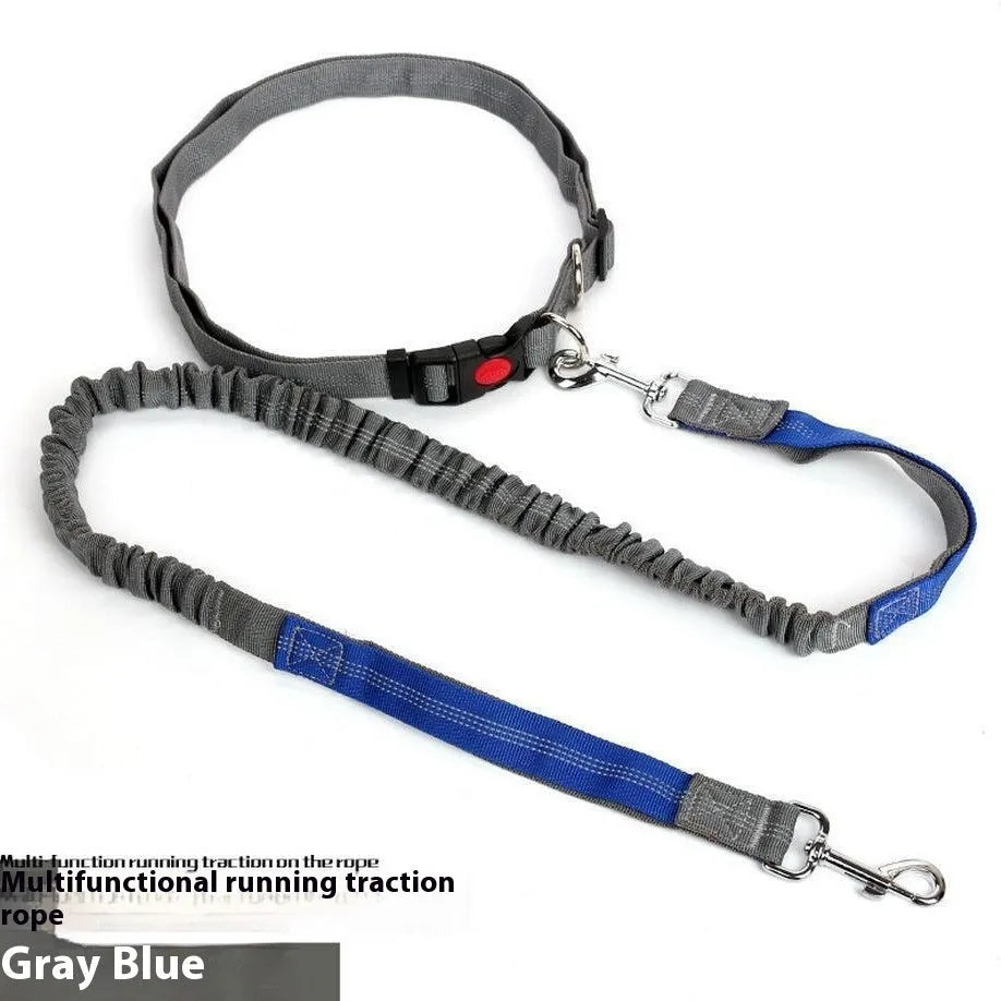 Reflective dog leash with elastic sling in two-tone colours for night walking