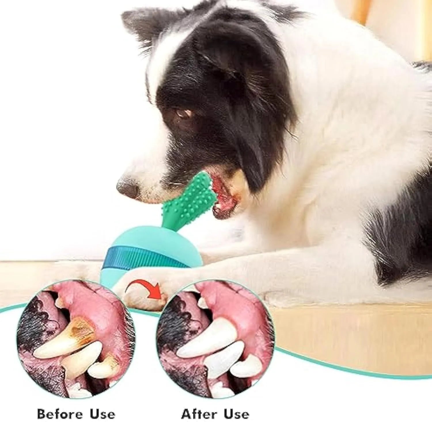 Blue durable rubber treat dispensing dog toy ball for medium and large dogs