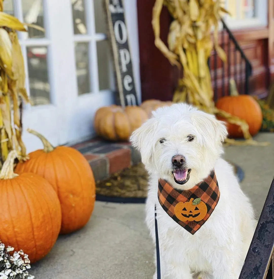 Orange plaid Halloween dog bandana with pumpkin and skeleton felt appliques on a white background