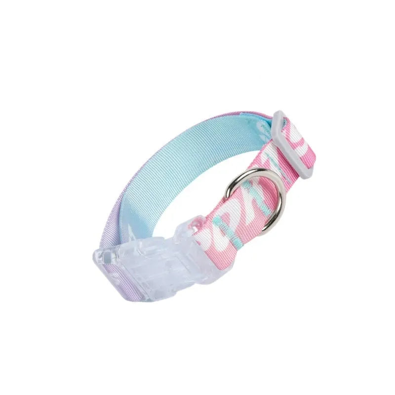 Adjustable nylon dog collar with cartoon gradient pattern in gradient colour and panda green options