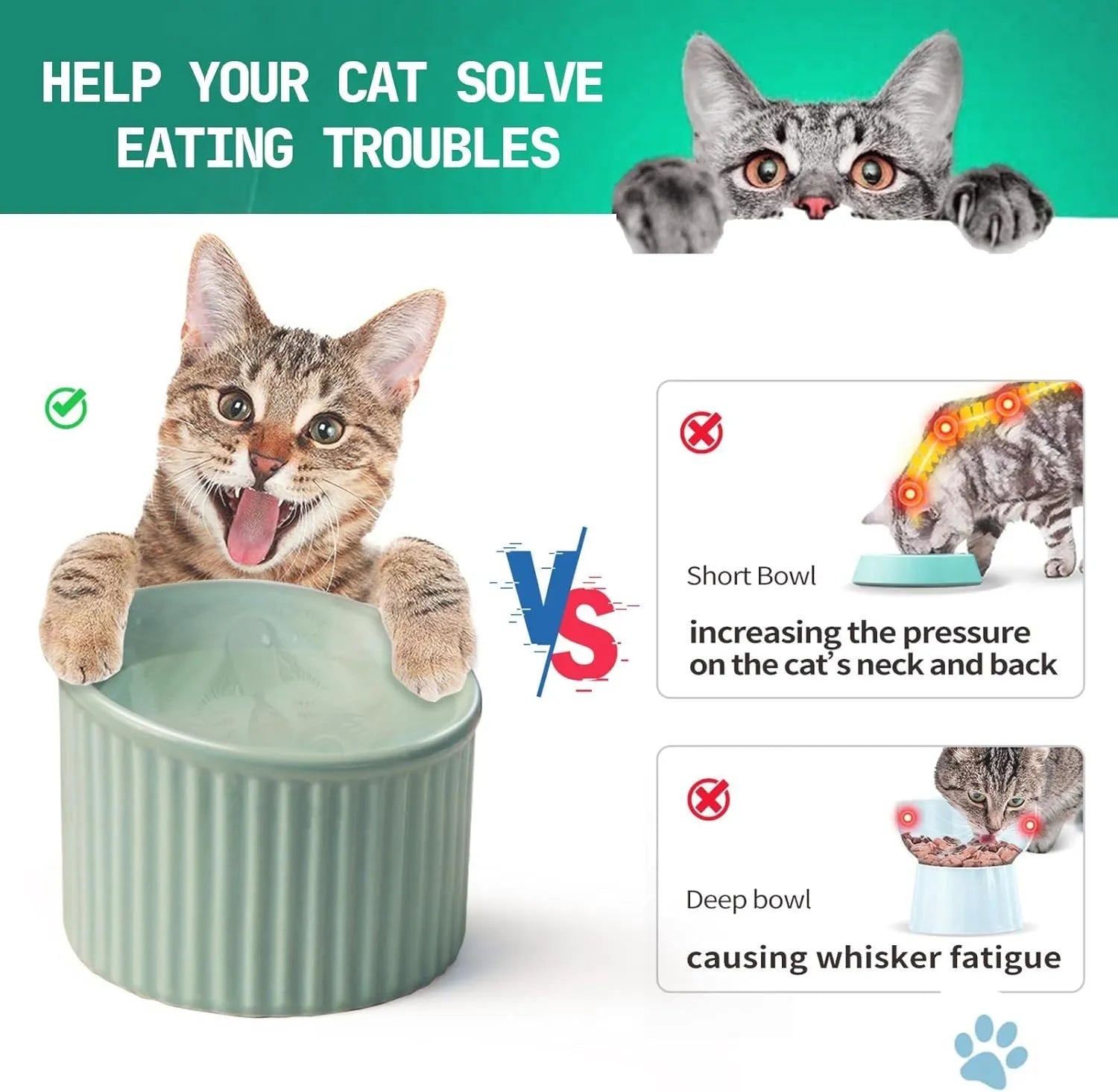 Ceramic elevated cat bowl in round tilted design with raised height for indoor cats