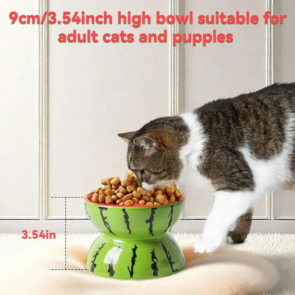 Ceramic raised cat bowl with tilted design in orange, pitaya or watermelon pattern.