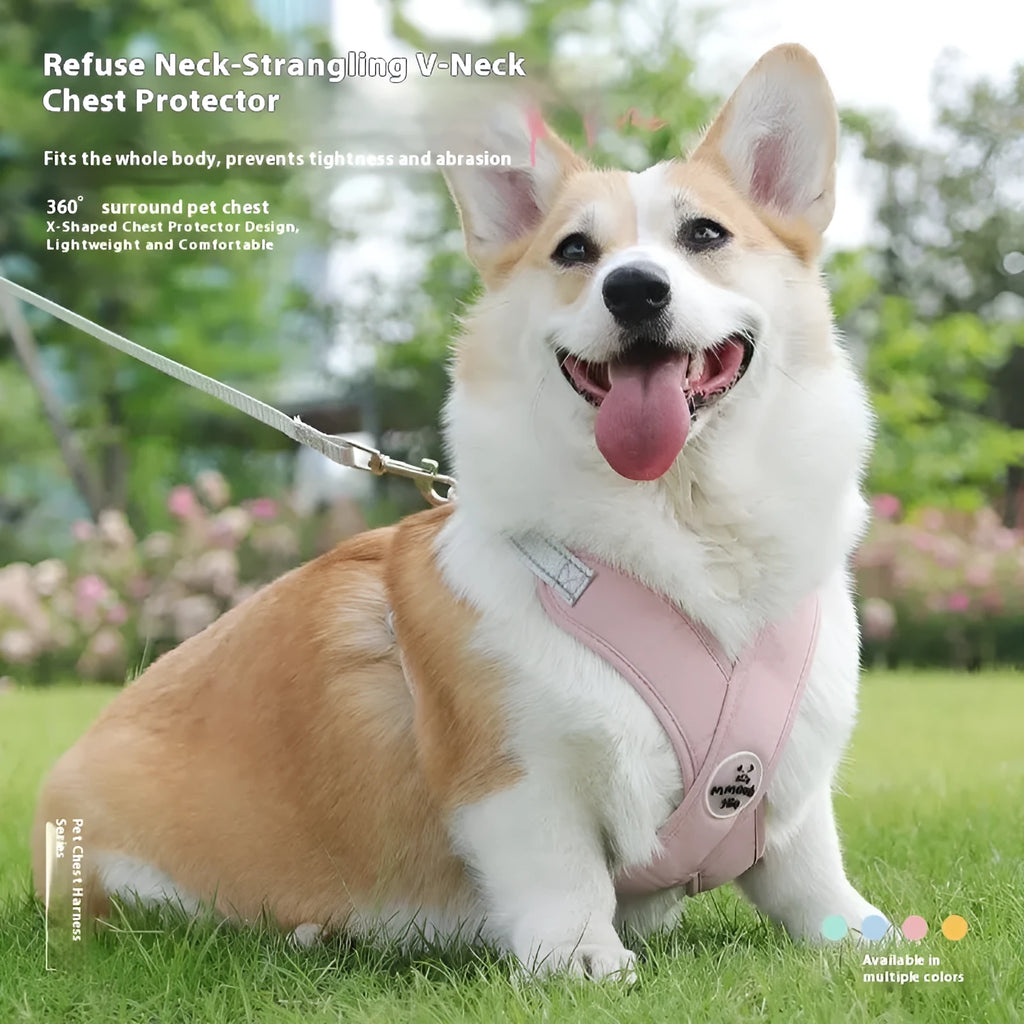 Polyester dog harness and lead set in matching colours with adjustable vest and hand-holding rope