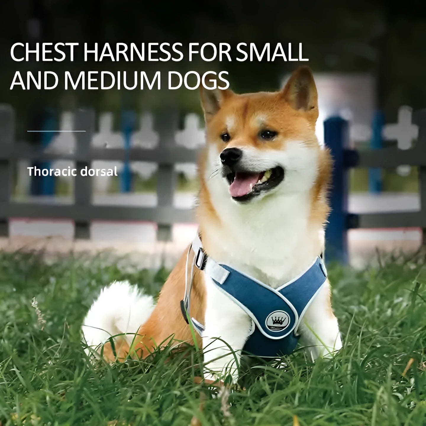 Adjustable dog harness with reflective mesh fabric in multiple colours and sizes