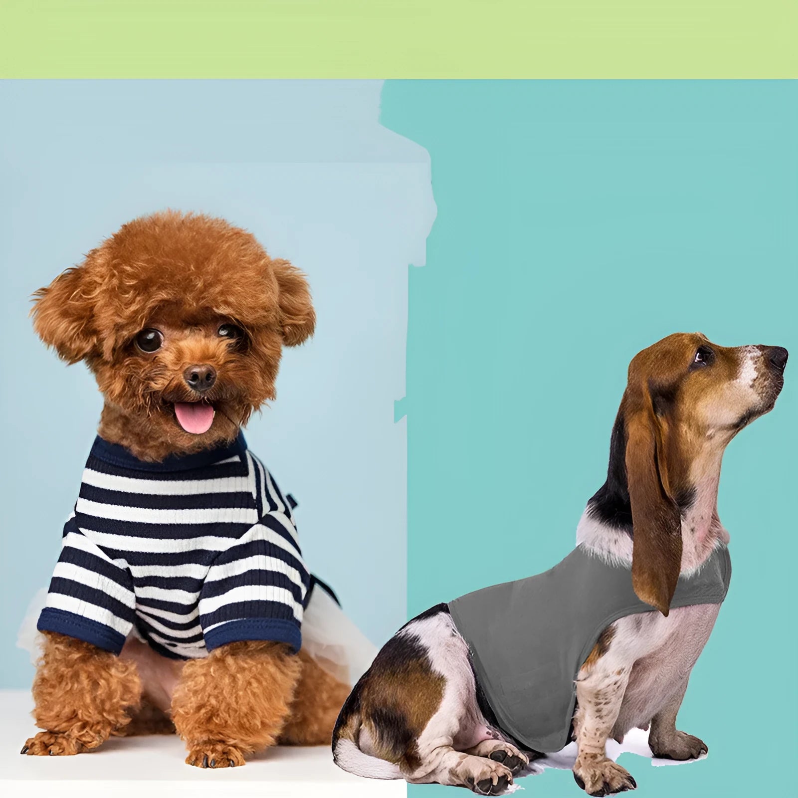 Acrylic calming vest for cats and dogs in dark grey, showing wrap design and plush toy