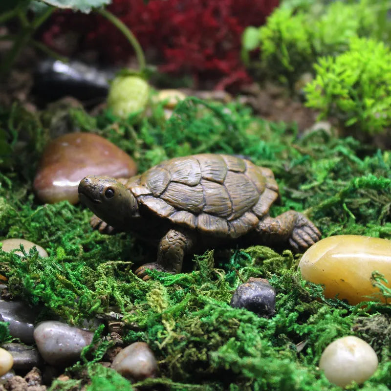 Realistic little turtle resin ornament for micro landscape and garden decoration