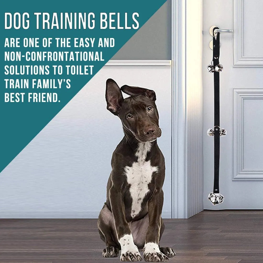 Adjustable dog training doorbell with seven large silver metal bells on a nylon strap.