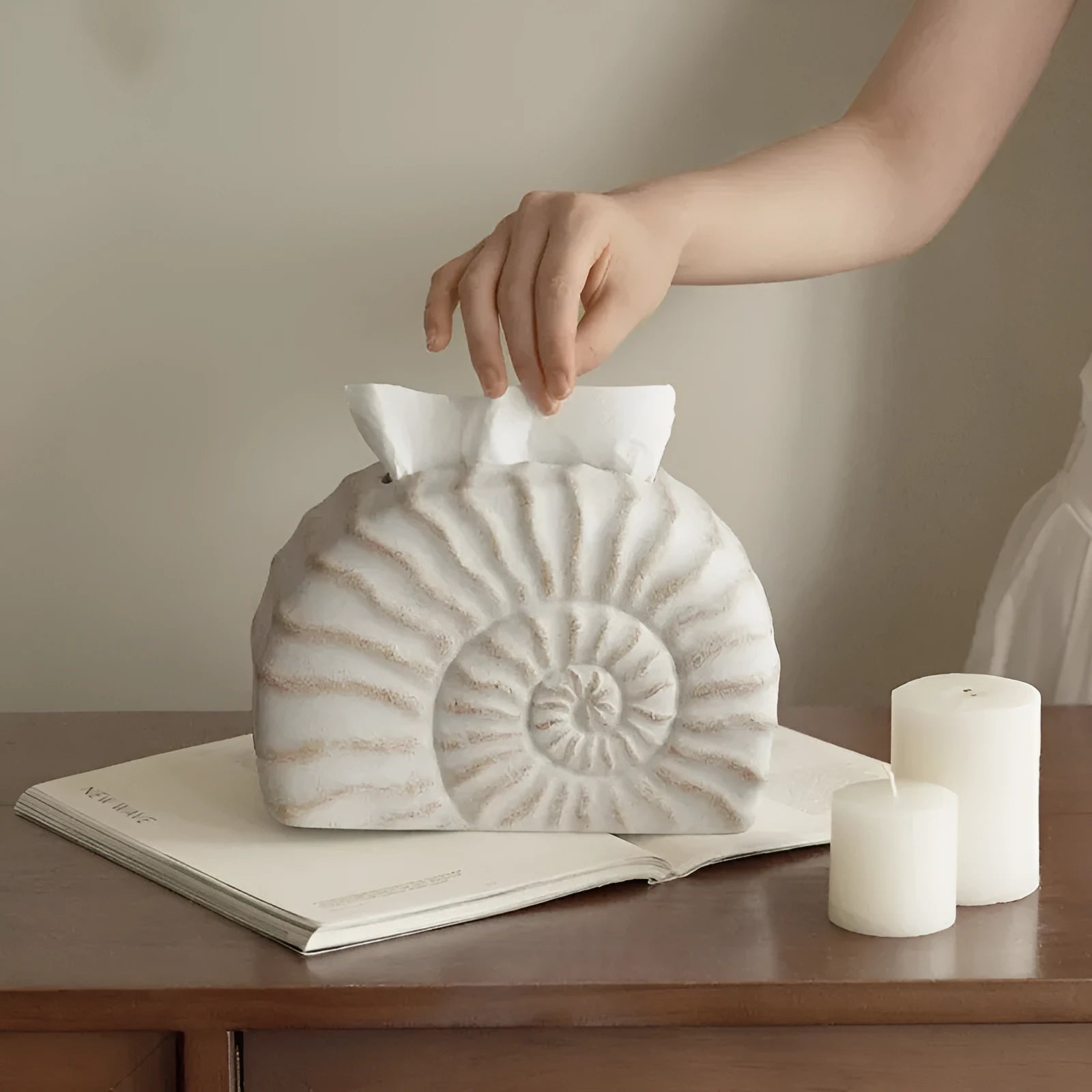 Resin conch shell tissue box decoration in conch ramble colour on wooden table