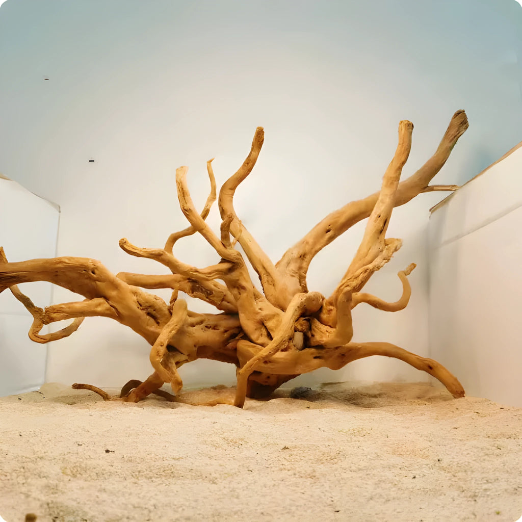 Xiaoqi root natural wood aquarium decoration ornament showing twisted branch-like structure