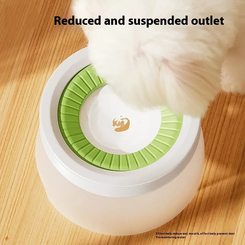 Green raised suspension water bowl for a dog on a white plate
