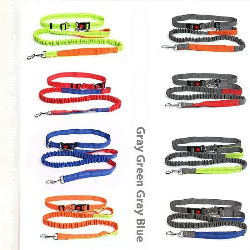 Reflective dog leash with elastic sling in two-tone colours for night walking