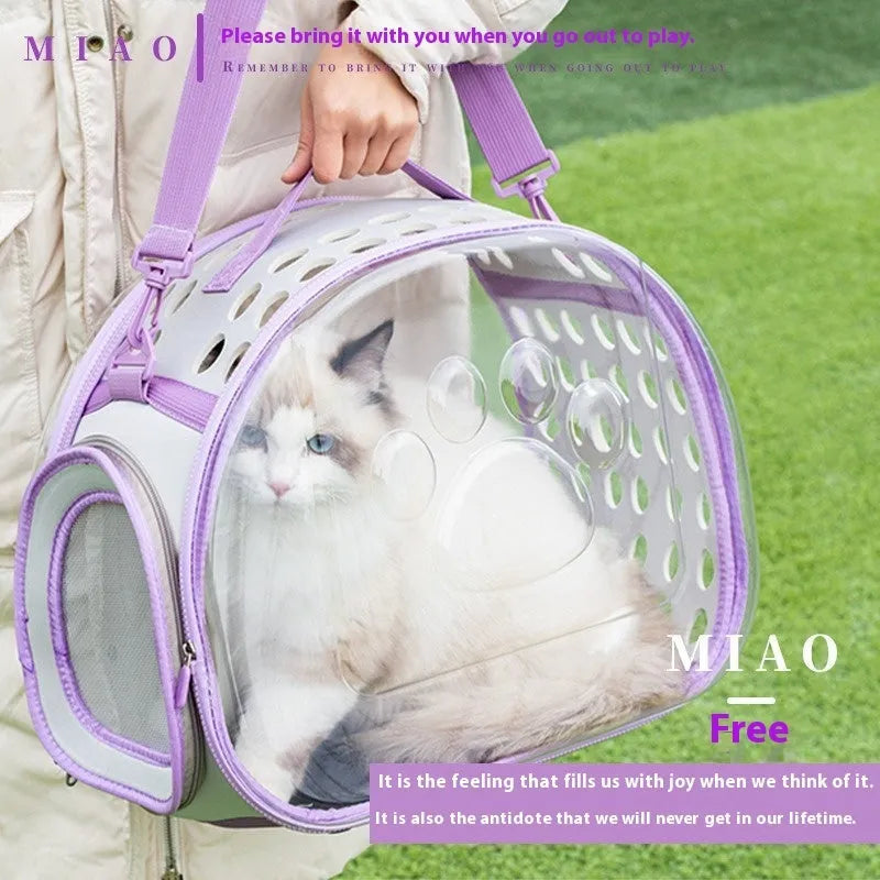 Transparent space capsule cat backpack in hard EVA material showing interior space