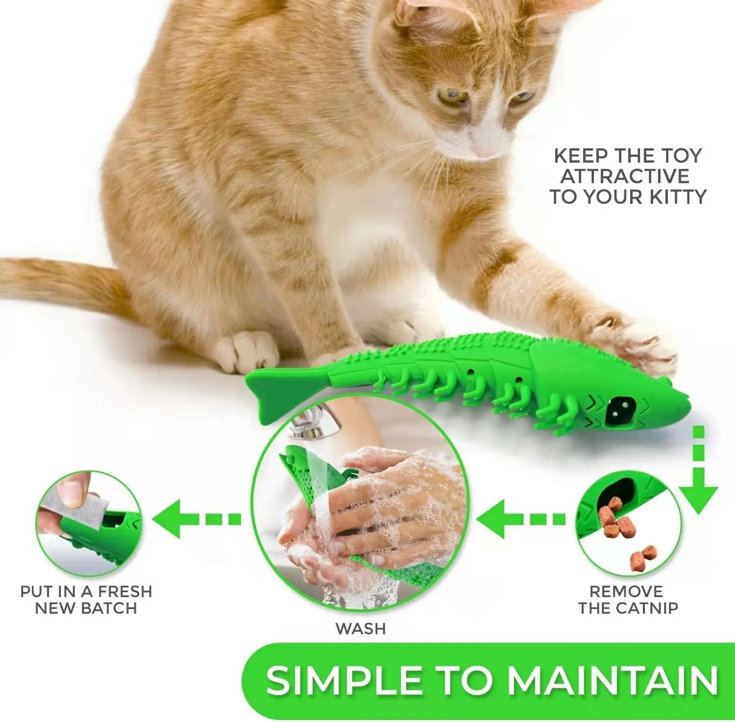 Blue hard rubber cat toy with textured brush surface for teeth cleaning, containing catnip and bell inside