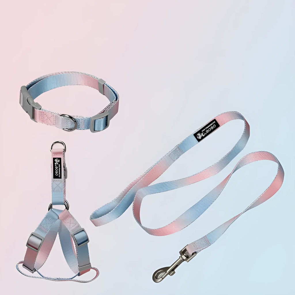Nylon dog leash and harness set in pink and blue gradient colour, showing collar, leash, and chest strap components.