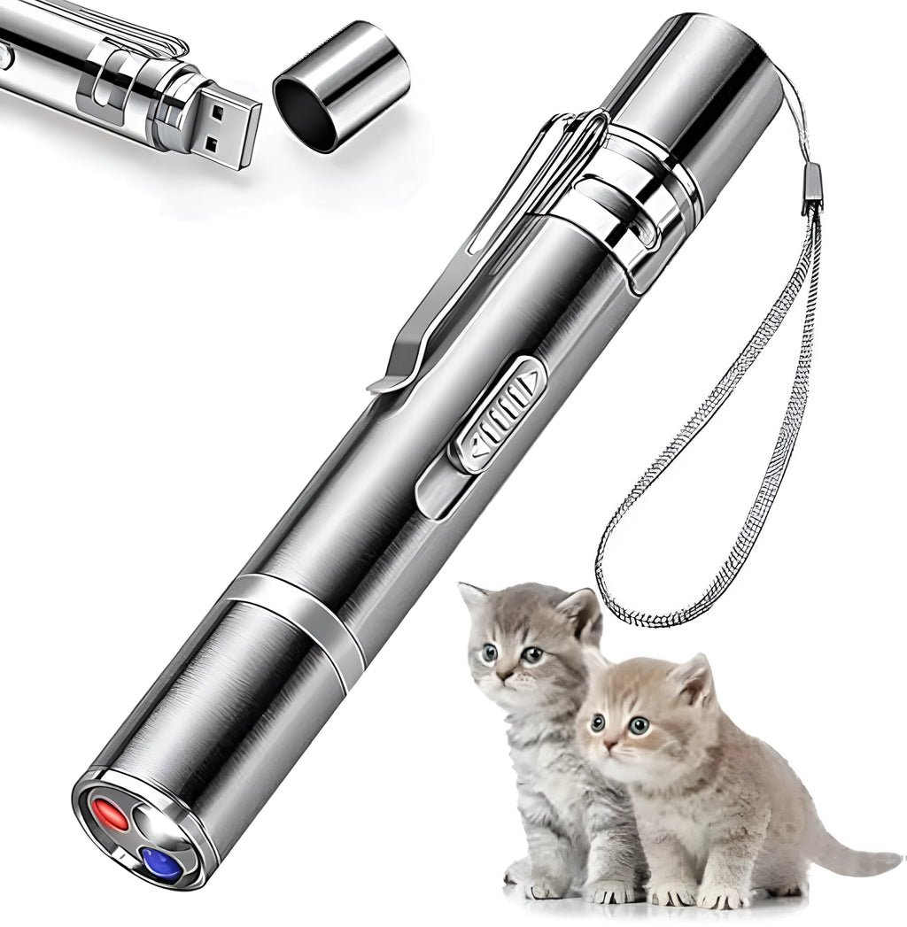 Silver aluminium cat laser toy pointer with USB charging port and pattern projection modes.