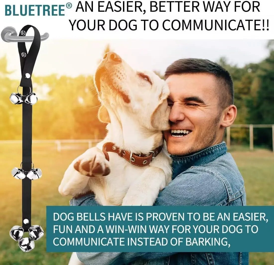 Adjustable dog training doorbell with seven large silver metal bells on a nylon strap.