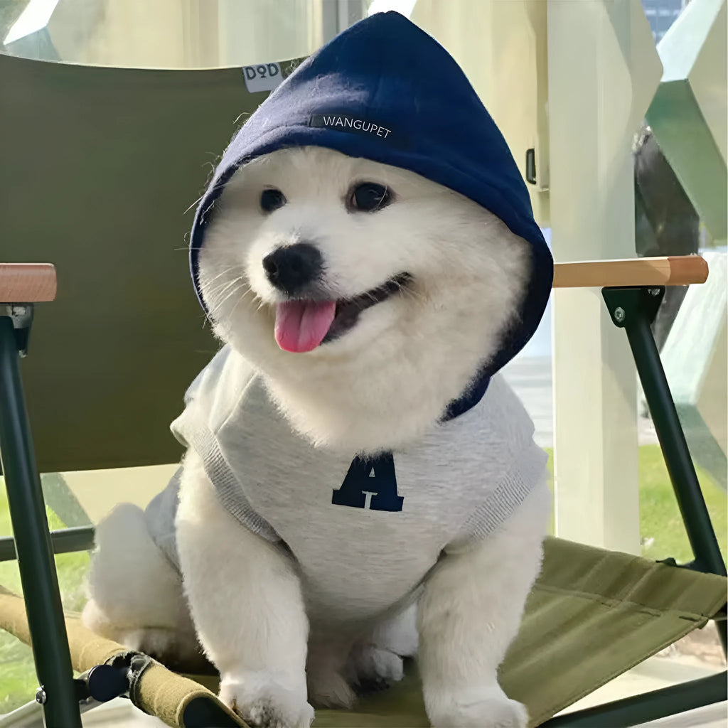 Blue pet hoodie with reflective grey-white lettering, slim-fitting design for cats and dogs