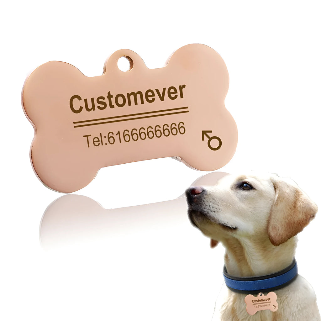 Small pendant stainless steel pet ID tag with custom laser engraving in bone shape on a collar