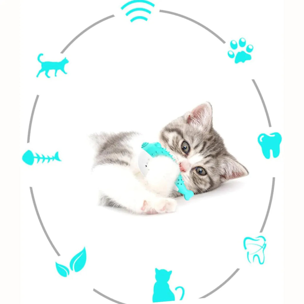 Blue silicone fish-shaped cat chew toy with measurements showing 12.2 cm length