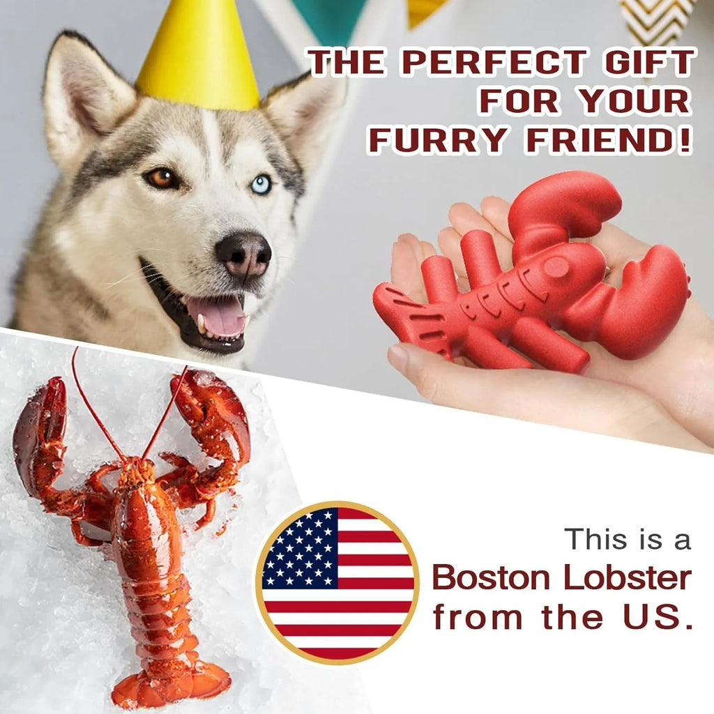 Red Nylabone bone-shaped chew toy for large dogs and aggressive chewers