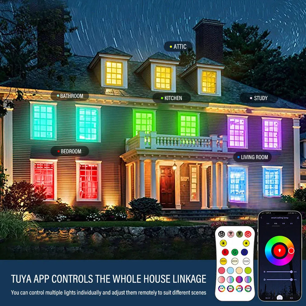 RGBCW intelligent Bluetooth ceiling lamp with full colour dimming in black or white finish