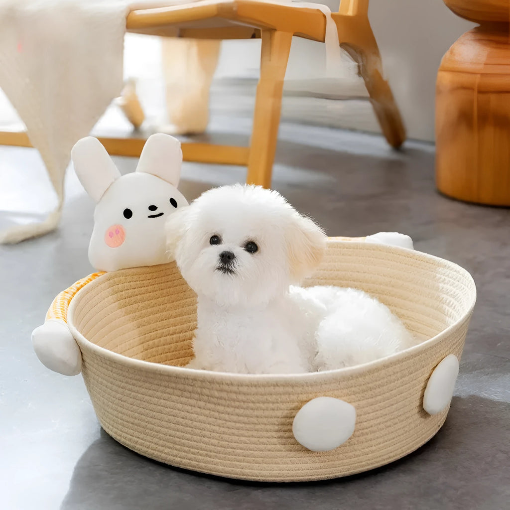 Woven cotton rope cat bed with scratching board surface, available in bear or rabbit styles.