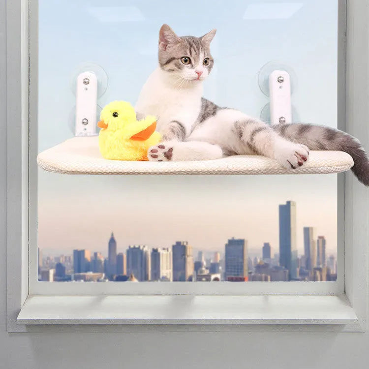 Foldable cat window hammock with stainless steel suction cups mounted on glass window