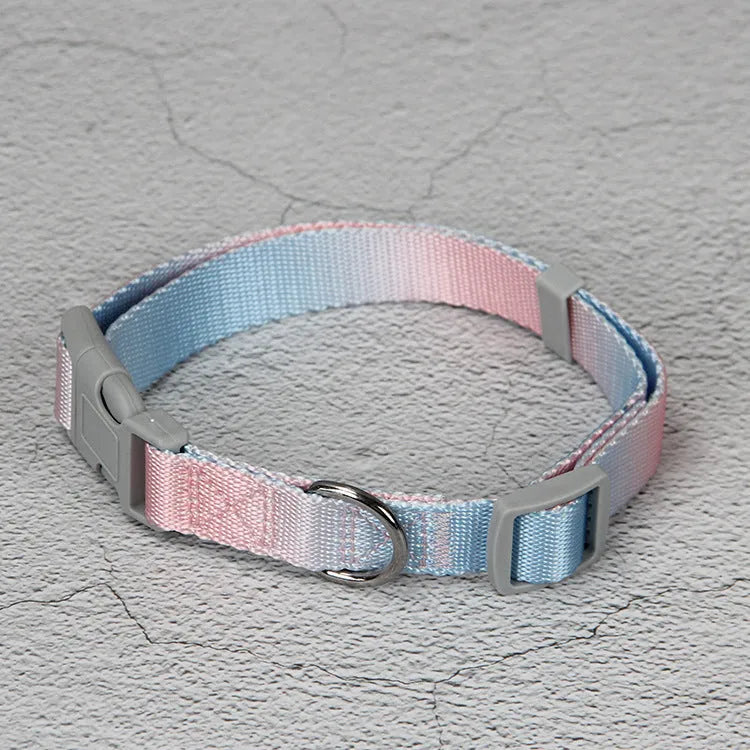 Nylon dog leash and harness set in pink and blue gradient colour, showing collar, leash, and chest strap components.