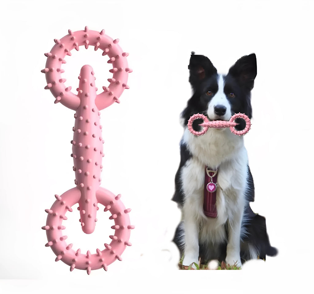 Blue TPR dog chew ring toy measuring 16cm diameter for teething puppies