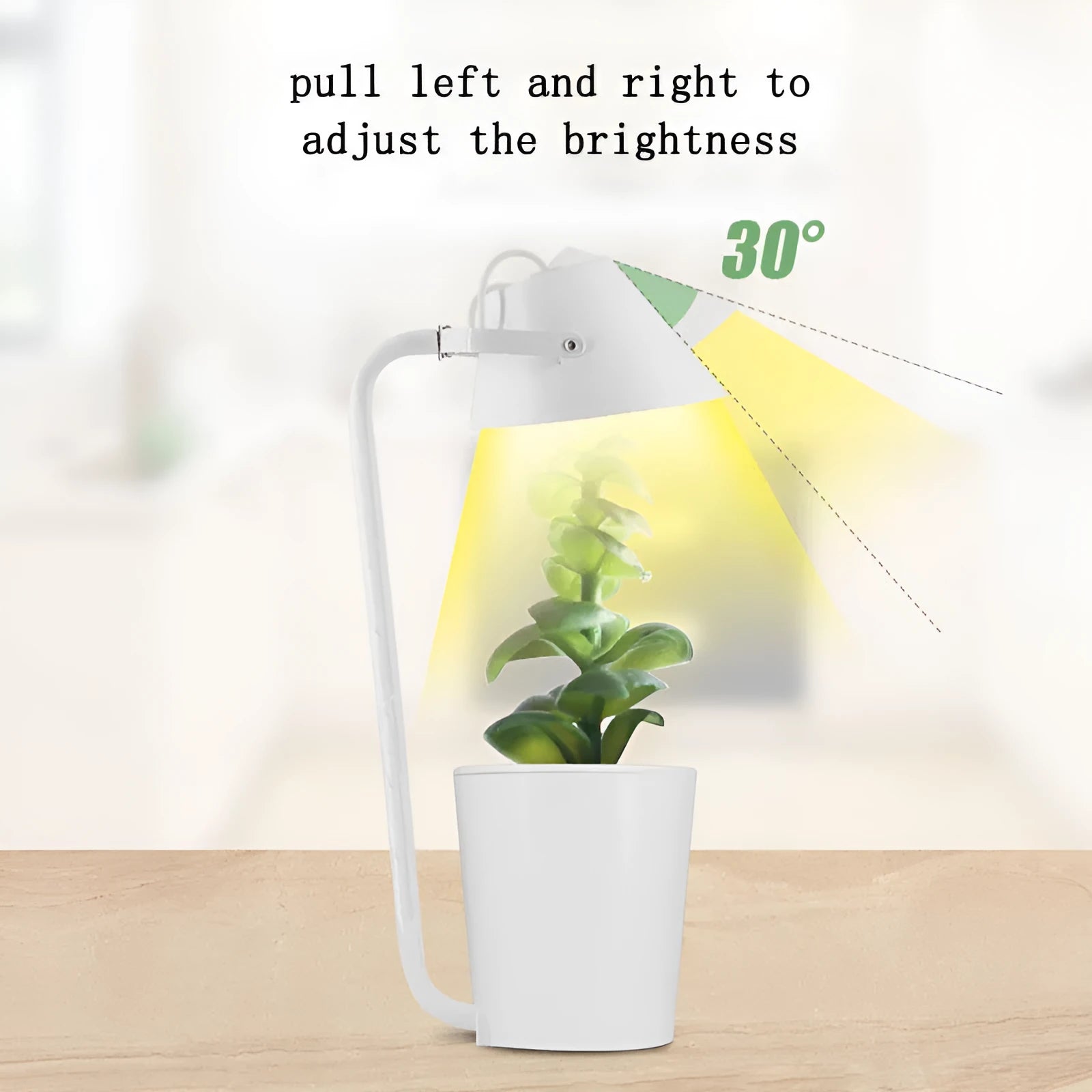 White plastic desktop hydroponic growing system for soilless plant cultivation