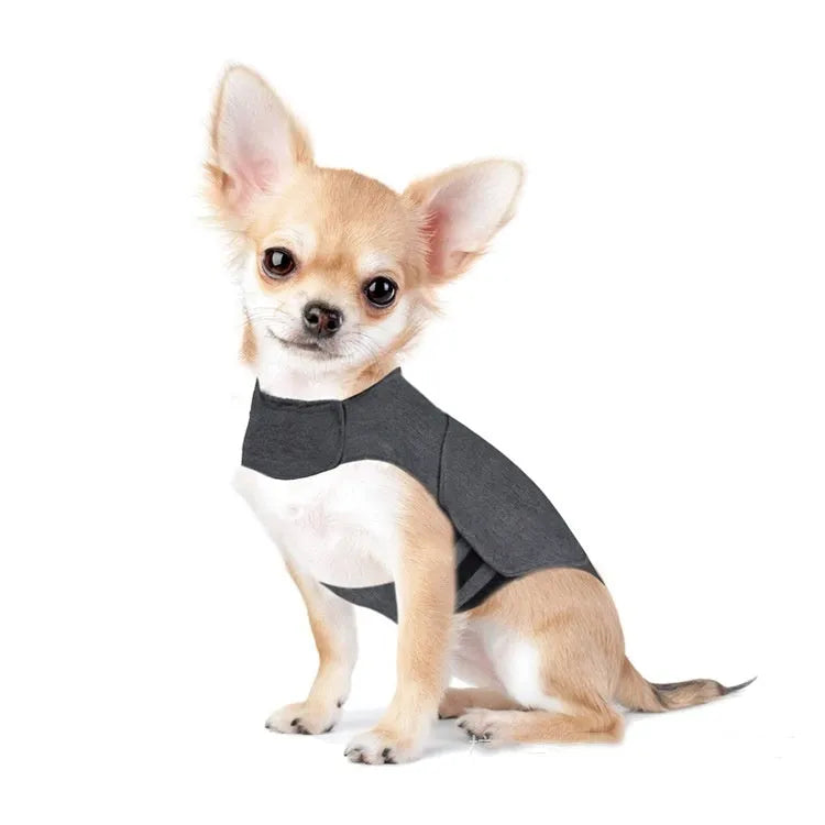 Heather Gray brocade cotton dog anxiety jacket vest shown on a model dog.
