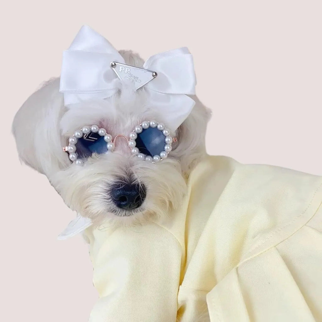 Pearl-rimmed round sunglasses for cats and dogs in multiple colours on a pink background.