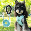 Polyester dog harness and lead set in matching colours with adjustable vest and hand-holding rope