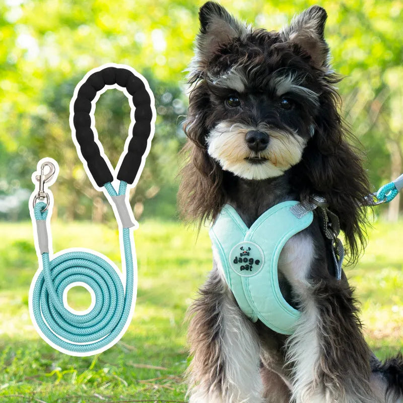 Polyester dog harness and lead set in matching colours with adjustable vest and hand-holding rope