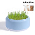Hydroponic cat grass kit with blue growing cup and wheatgrass seeds for indoor planting