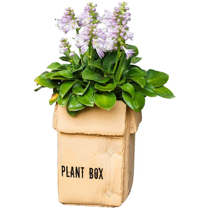Cement brown paper box style flowerpot with a drainage hole, shown in a Nordic interior setting.