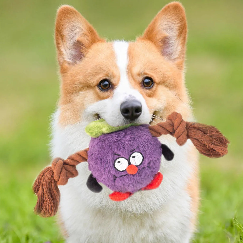 Green and purple plush rope knot dog toy for tug of war and dental care.